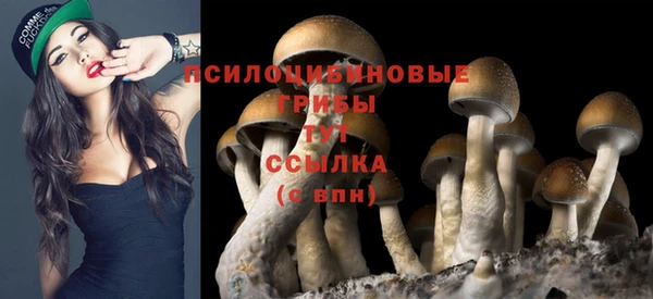 spice Балахна