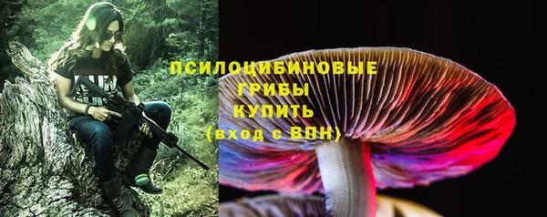 spice Балахна