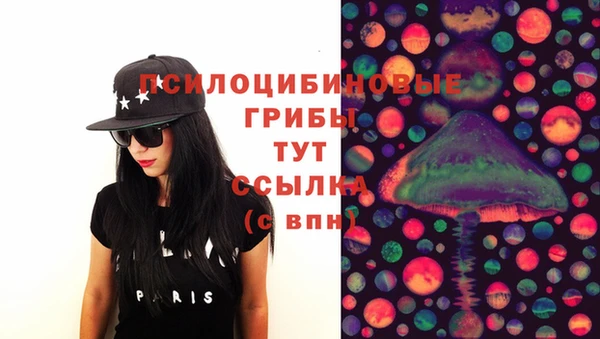 spice Балахна