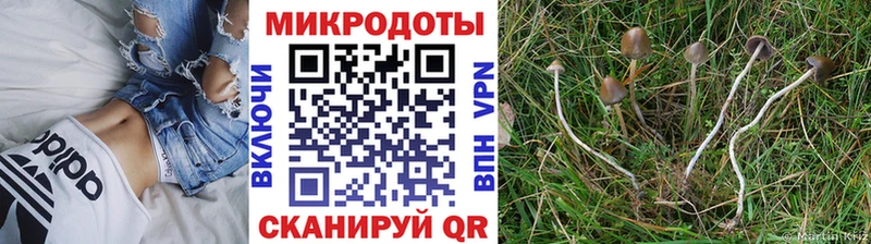 Галлюциногенные грибы Magic Shrooms Калининец